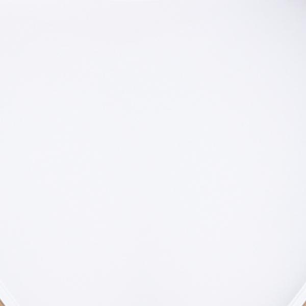 #swatch:WHITE