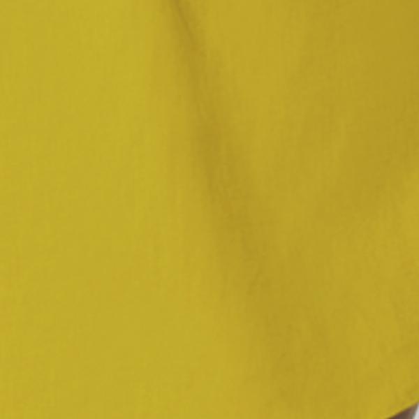 #swatch:DARK YELLOW