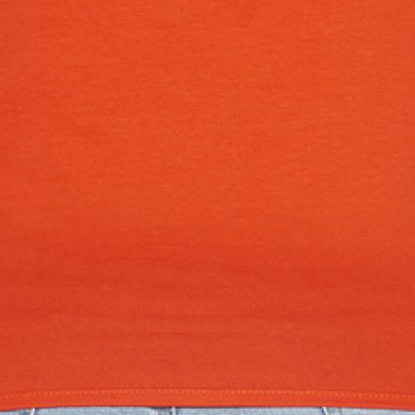 #swatch:DARK ORANGE