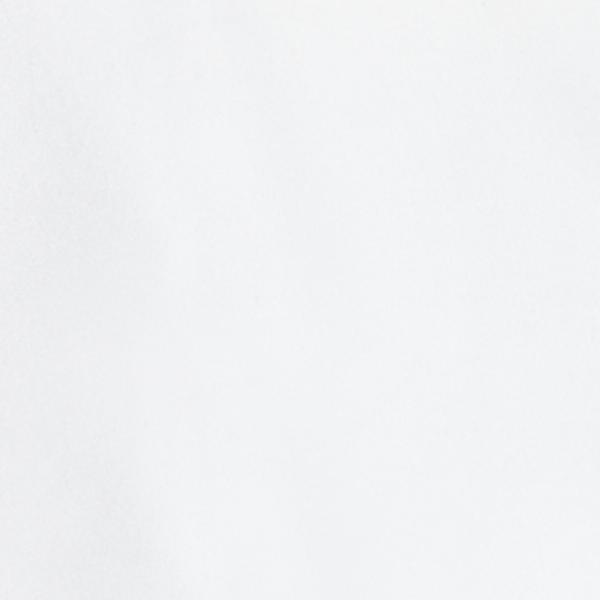 #swatch:WHITE