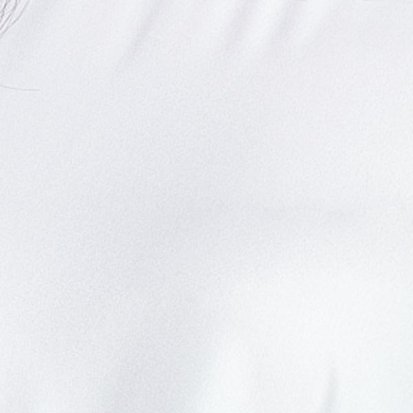 #swatch:IVORY