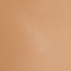 #swatch:TAN